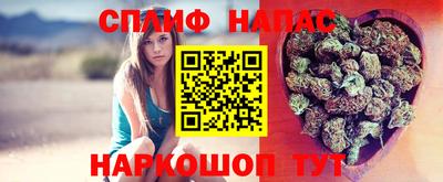 тгк Будённовск
