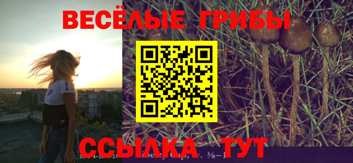 Псилоцибиновые грибы Psilocybine cubensis  Вход с VPN  Ярославль  Псилоцибиновые грибы мицелий 
