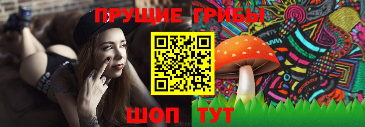Псилоцибиновые грибы Cubensis Ярославль